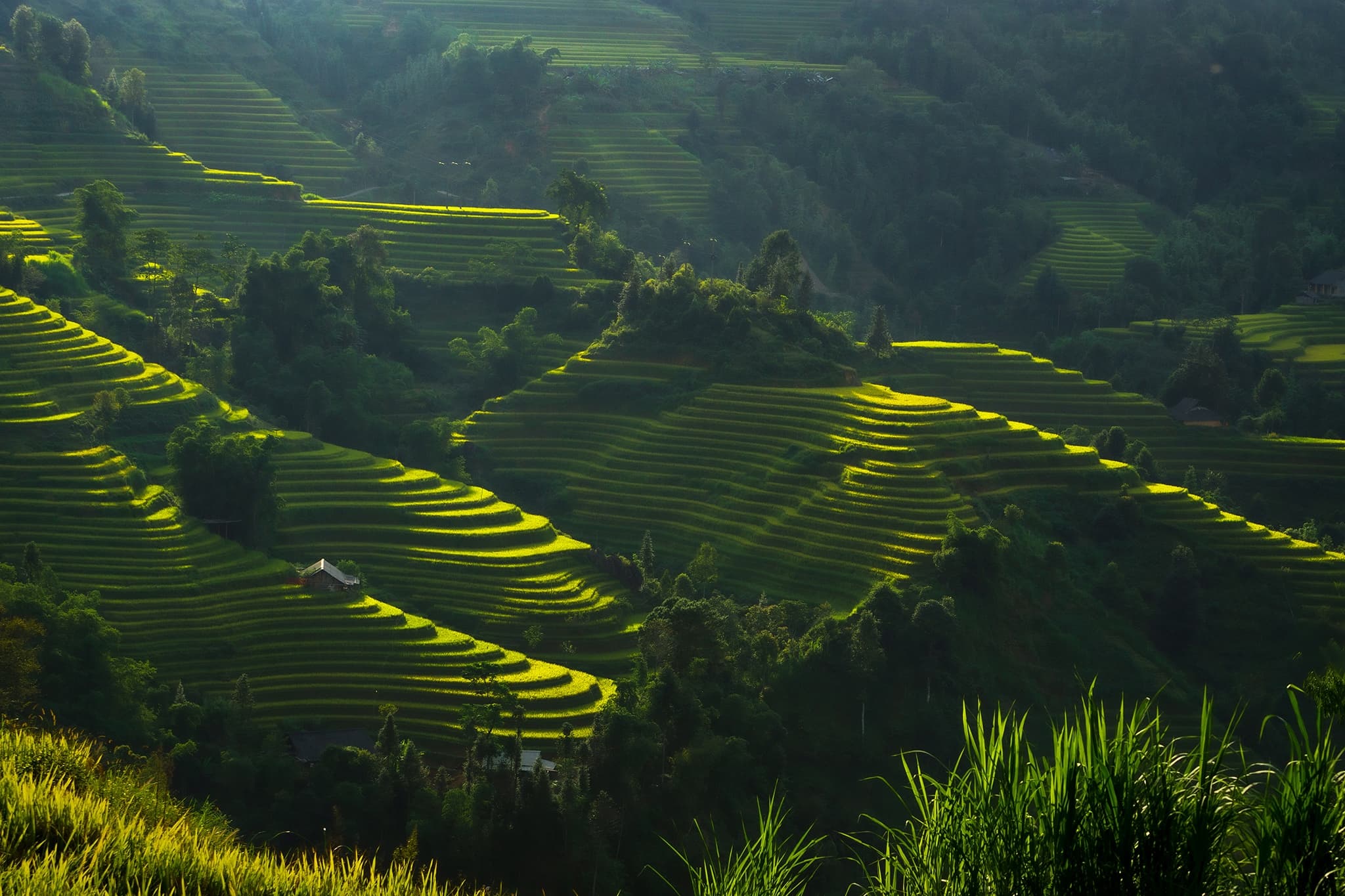 Hà Giang