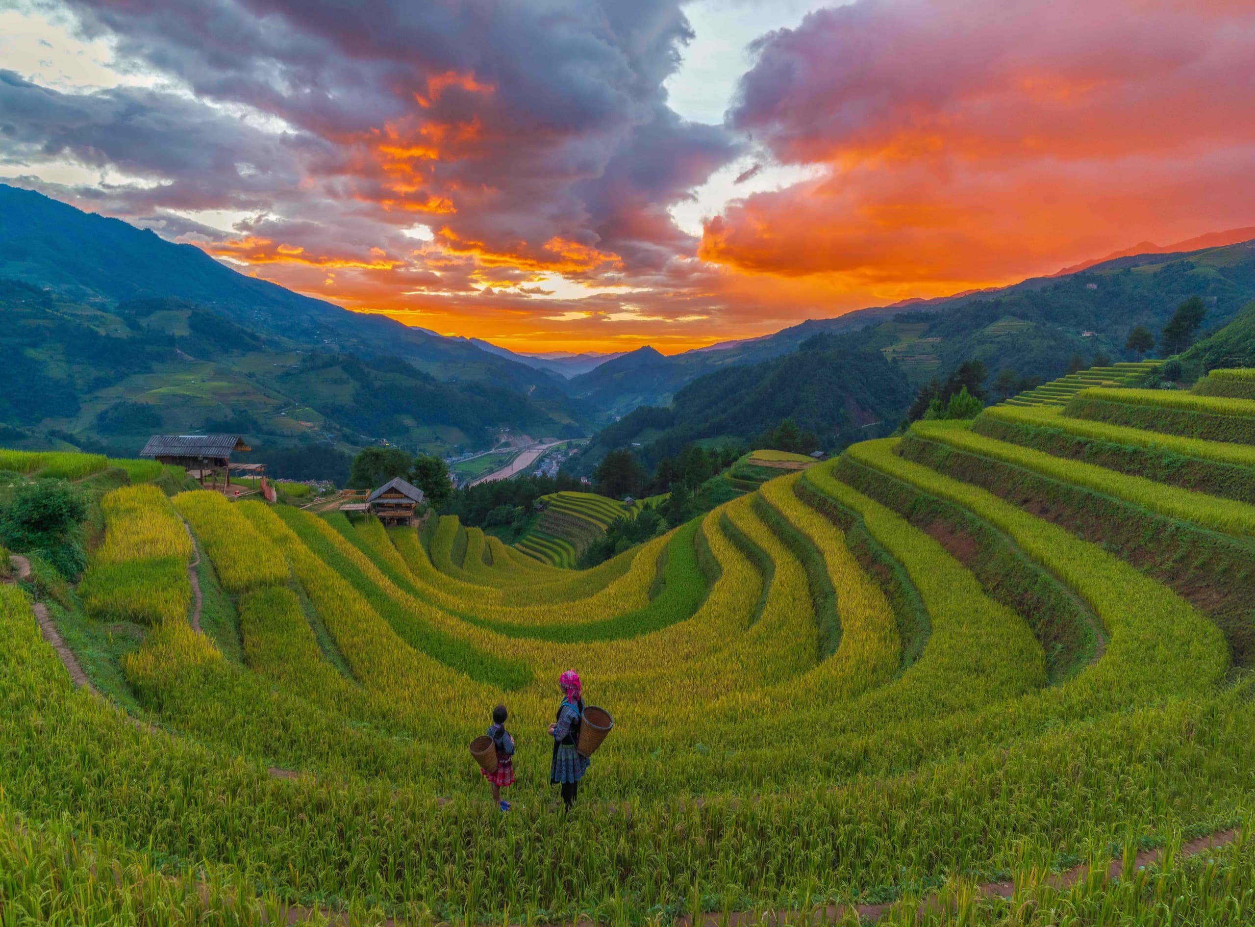 Mù Cang Chải